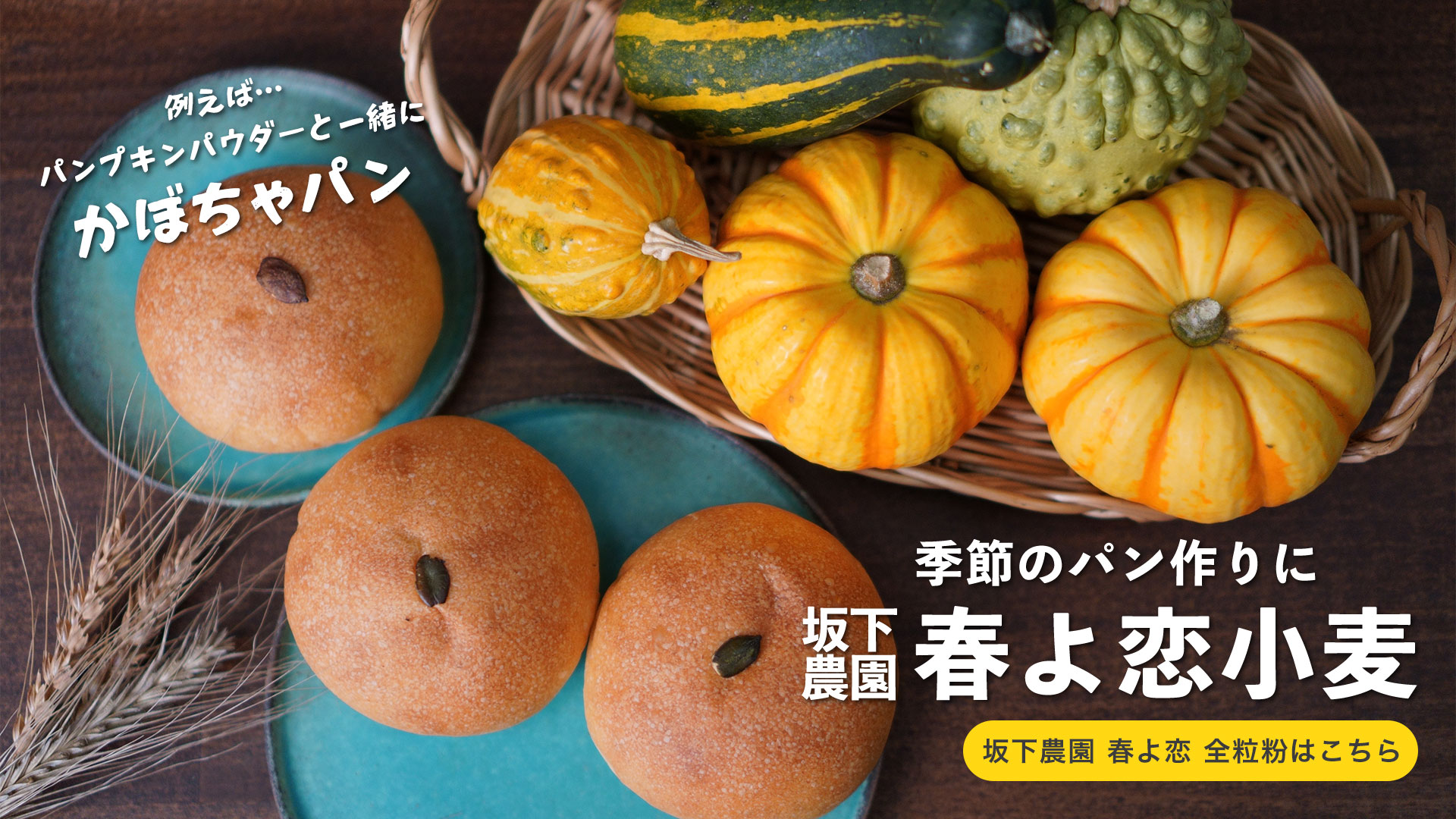 坂下農園 春よ恋 クラフト全粒粉