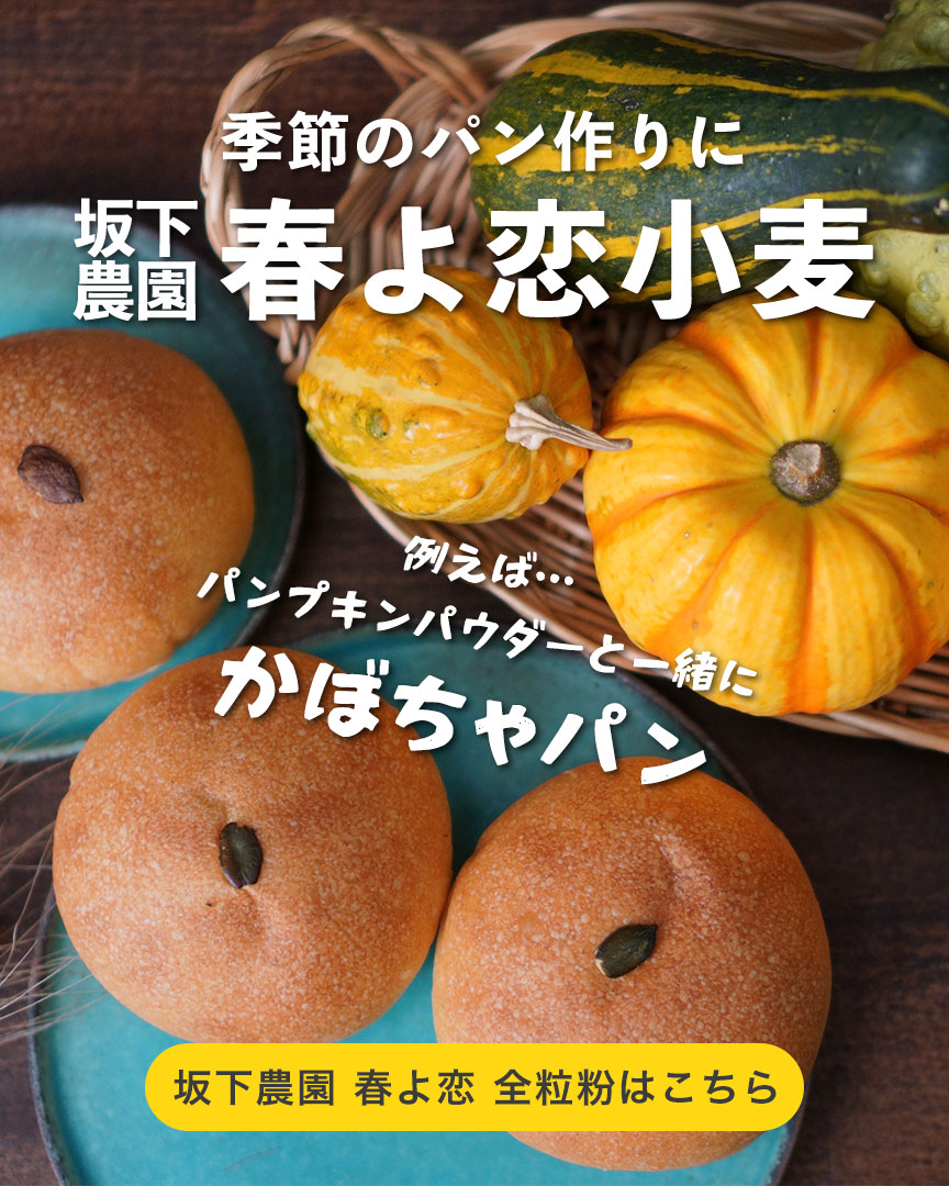坂下農園 春よ恋 クラフト全粒粉