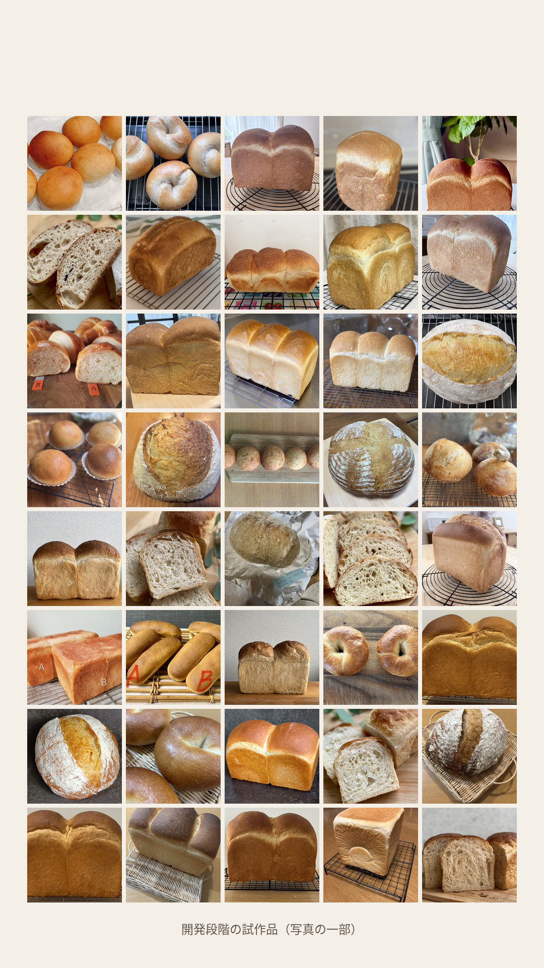 開発の途中で参加メンバーが焼いた試作パンの写真