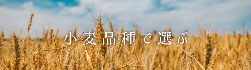 小麦品種で選ぶ