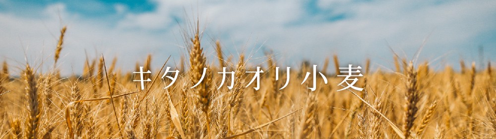 キタノカオリ小麦