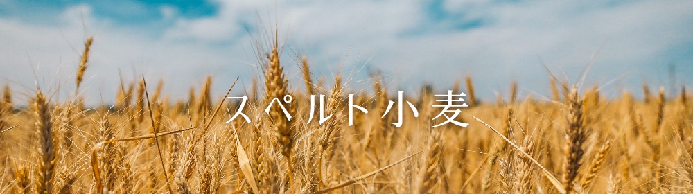 スペルト小麦（ディンケル小麦）
